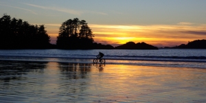 cyclist riding on the beach at sunset